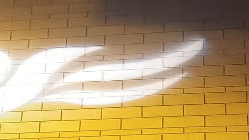 Lib Dem logo bird projected on blockwork