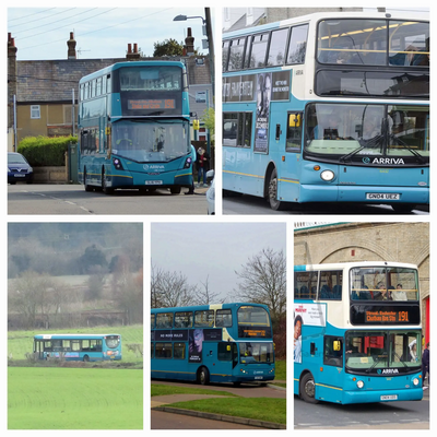 Bus collage