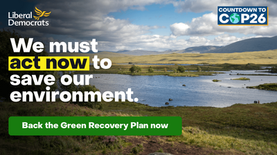 5 point green plan